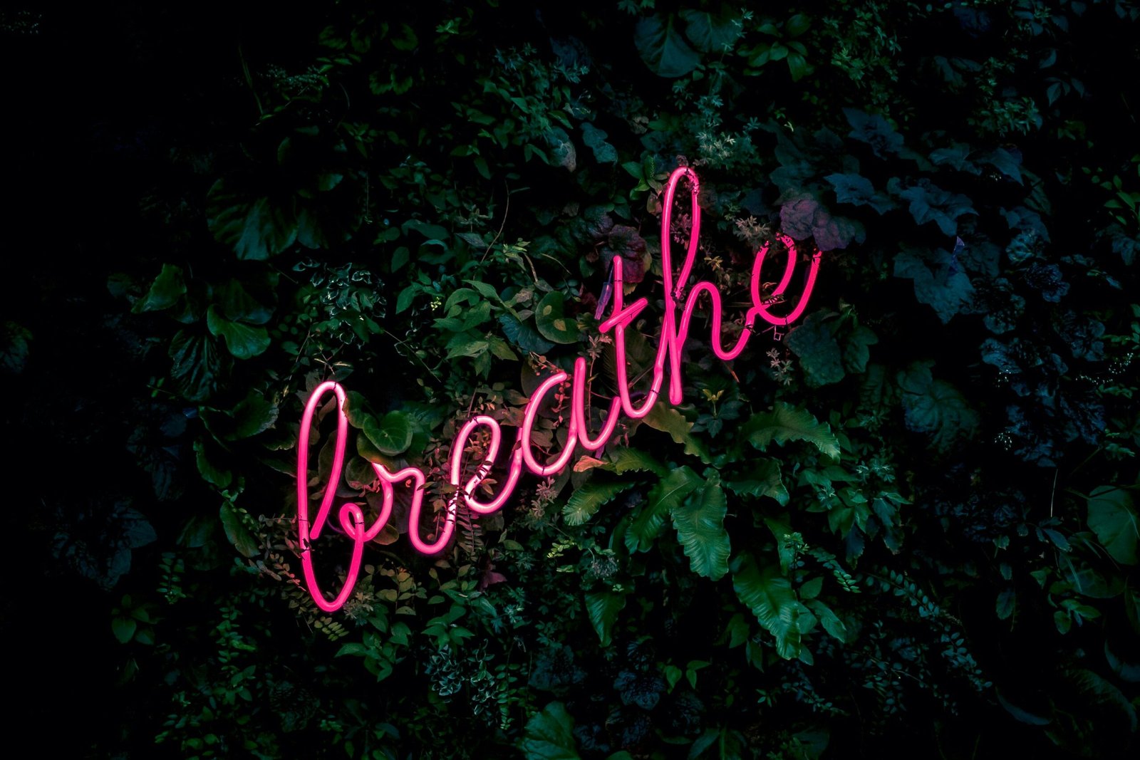 Breathwork