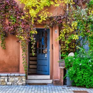 Image of a pink house with a welcomingly opened blue door and colorful ivy.